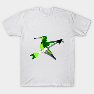 Aromantic Hummingbird T-Shirt